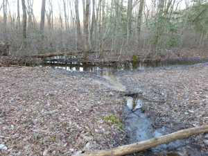 Intermittent stream in a wooded area