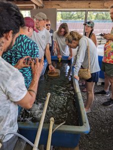 AMS attendees examine mollusks during a conference field trip. (Photo credit: Dr. Kevin Kocot)