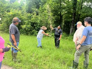 Conservationists inspecting a stalk of rivercane