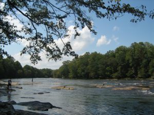 A serene river scene showing the Chattahoochee River in Georgia. The foreground features individuals walking on exposed rocks in the river, likely engaged in fishing or simply enjoying the water. The river flows gently, surrounded by lush green trees on both sides. Overhead, tree branches frame the sky, which is dotted with fluffy white clouds, creating a peaceful and picturesque natural setting.