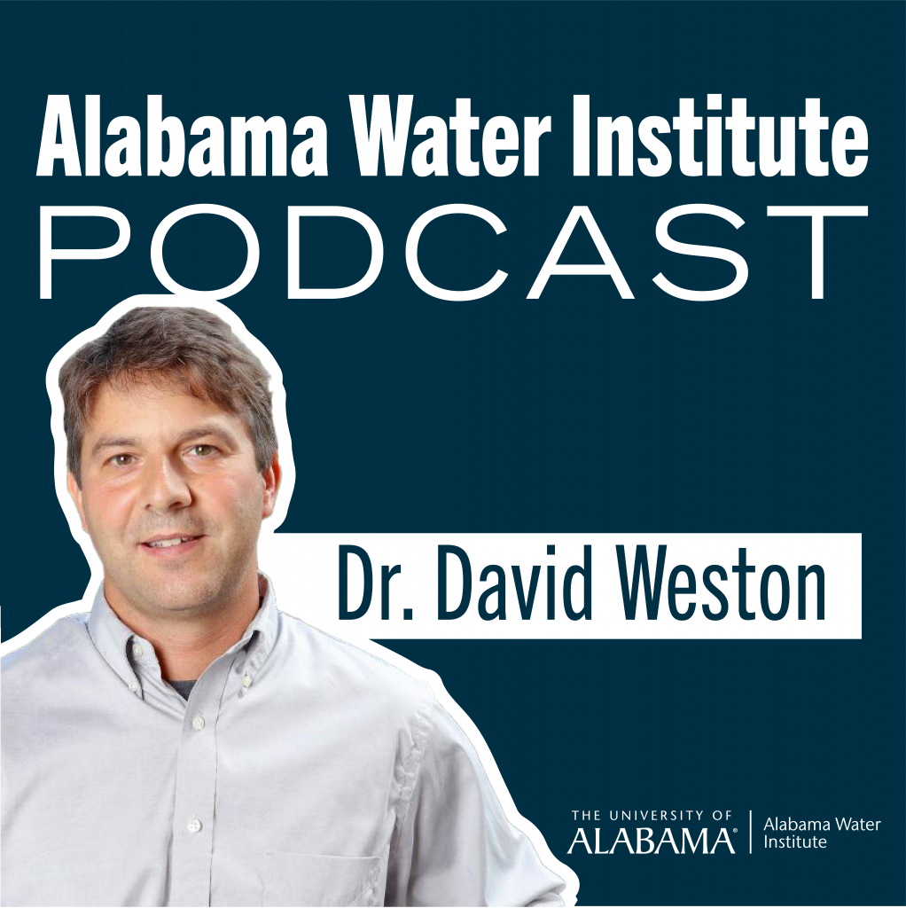 AWI Podcast Episode 13: Dr. David Weston from Oak Ridge National Laboratory