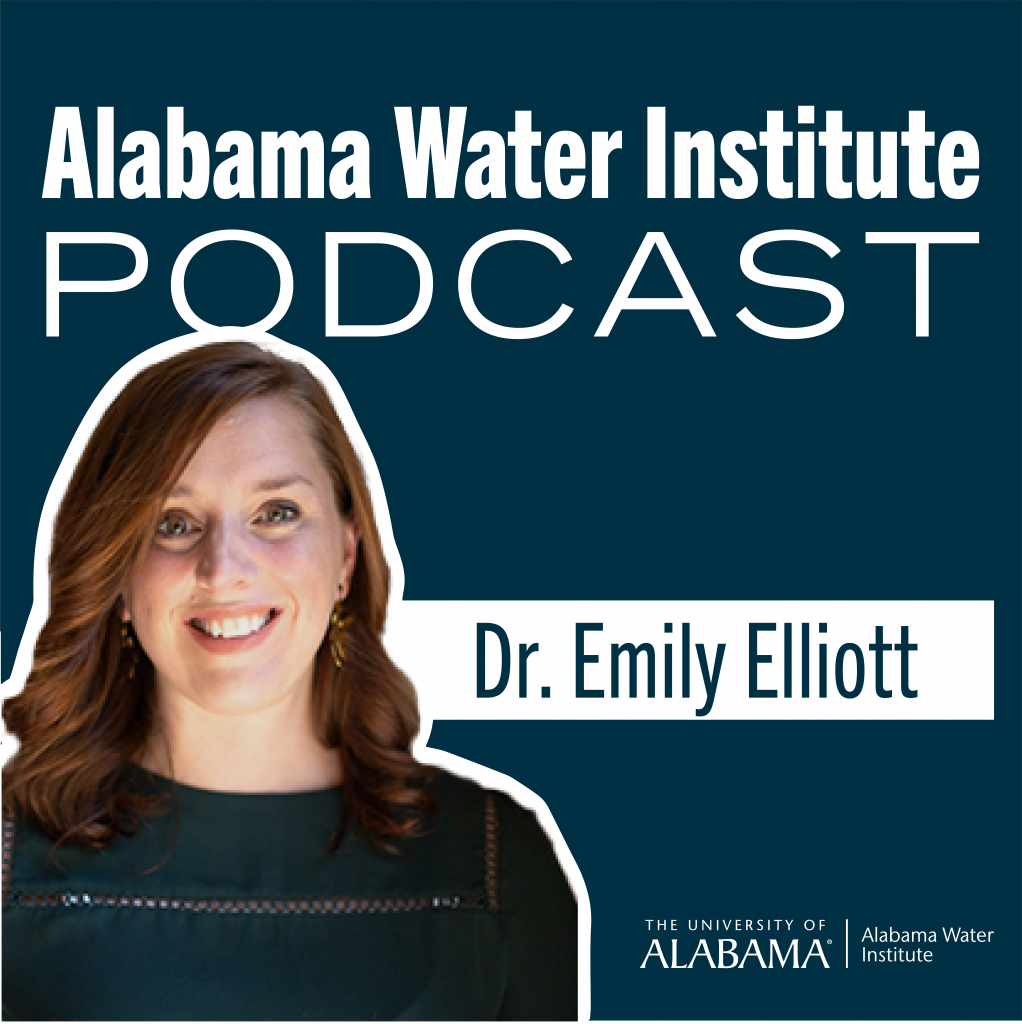 AWI Podcast Episode 1: Dr. Emily Elliott on Hurricanes and Coastal Response