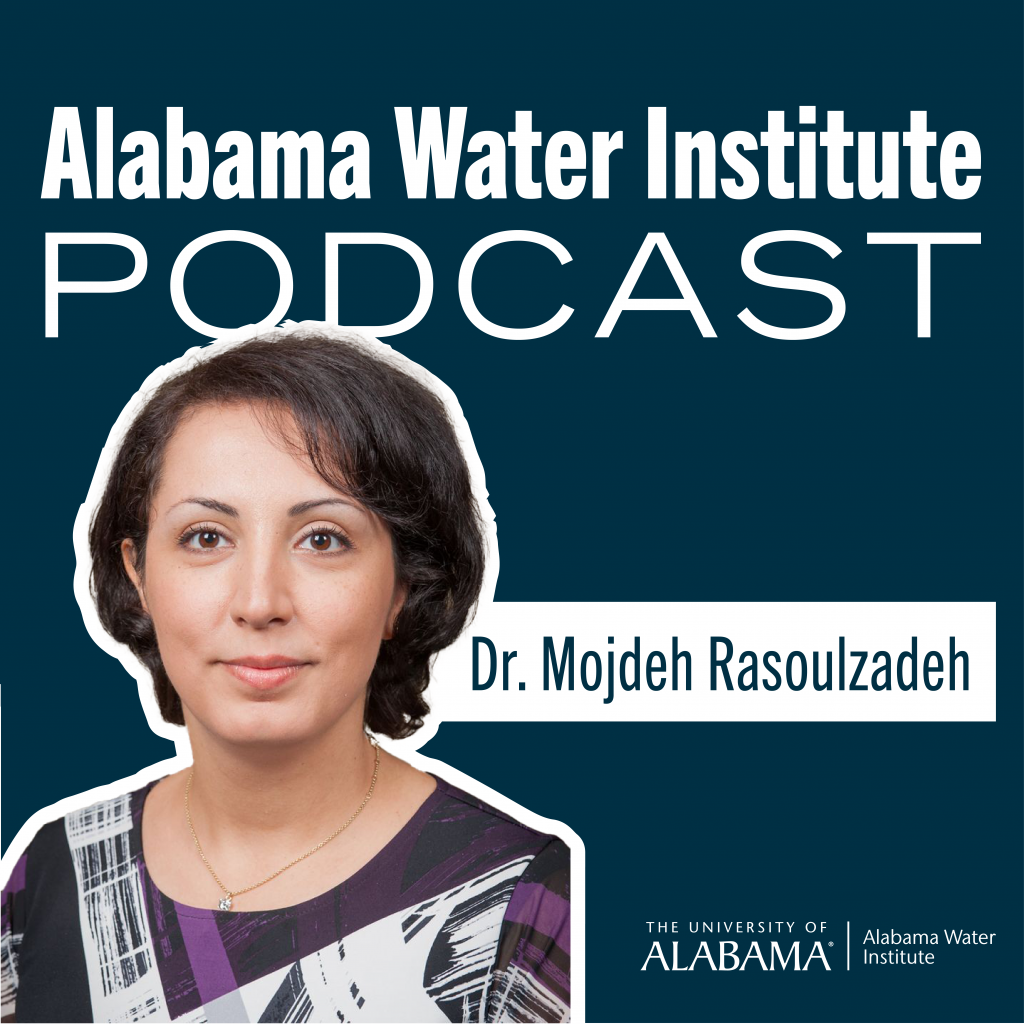AWI Podcast Episode 15: Dr. Mojdeh Rasoulzadeh from UA’s Department of Mathematics