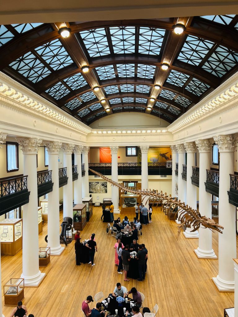 Participants of the Water Prediction Innovators Summer Institute gather at the Alabama Museum of Natural History for the welcome reception, standing and conversing beneath large fossil exhibits.