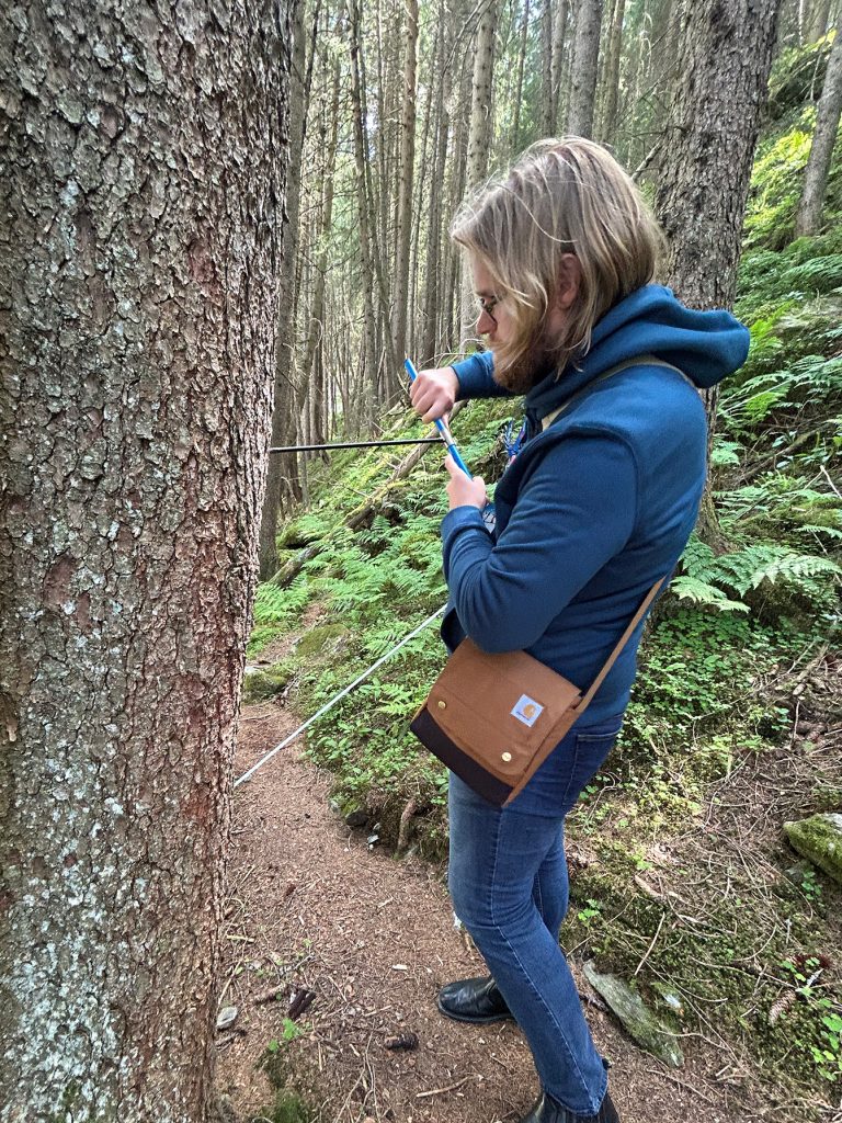 Students learn tree-coring field methods for paleoclimate water research during fieldwork in Austria.