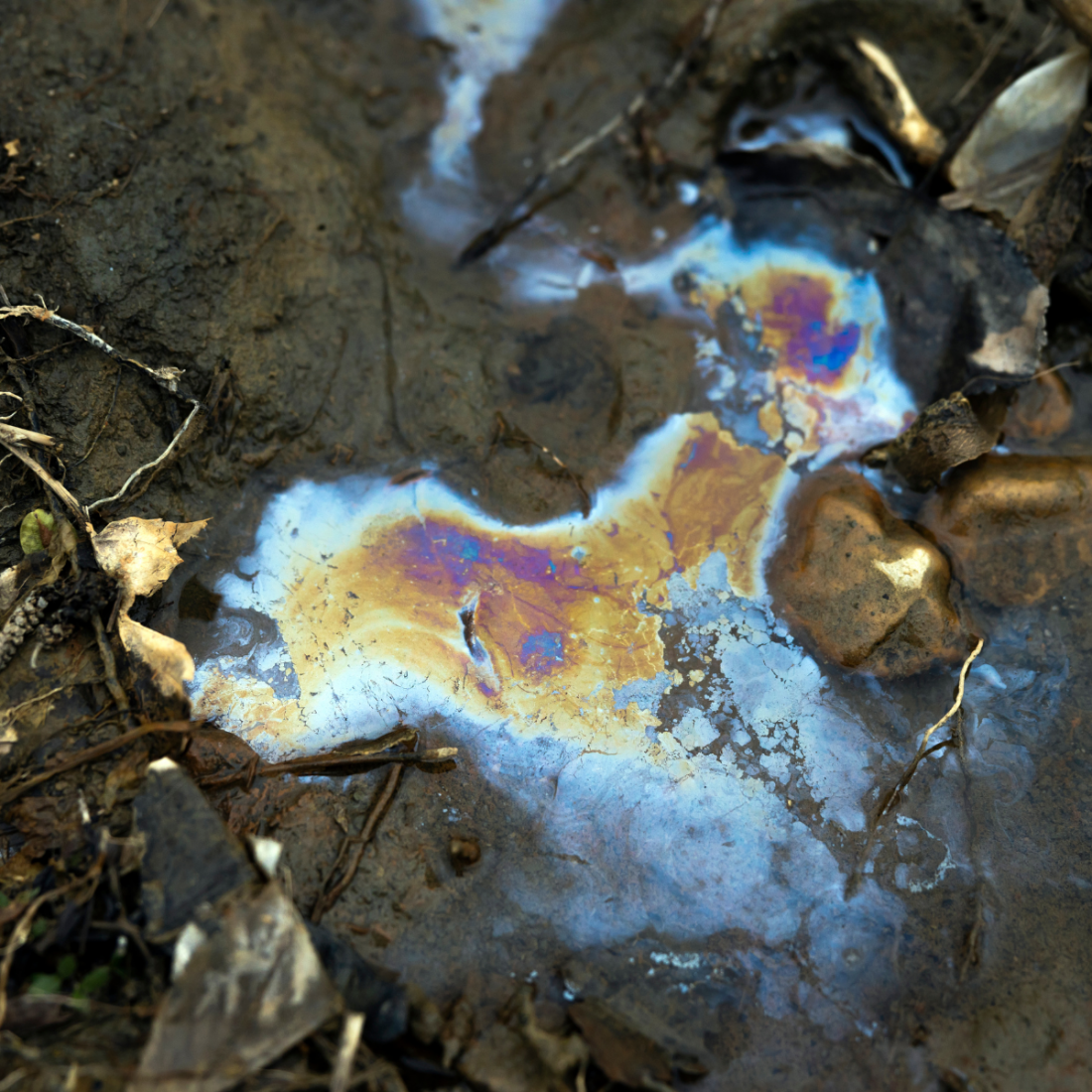 New EPA-Funded Project to Strengthen Gulf Coast Water Monitoring