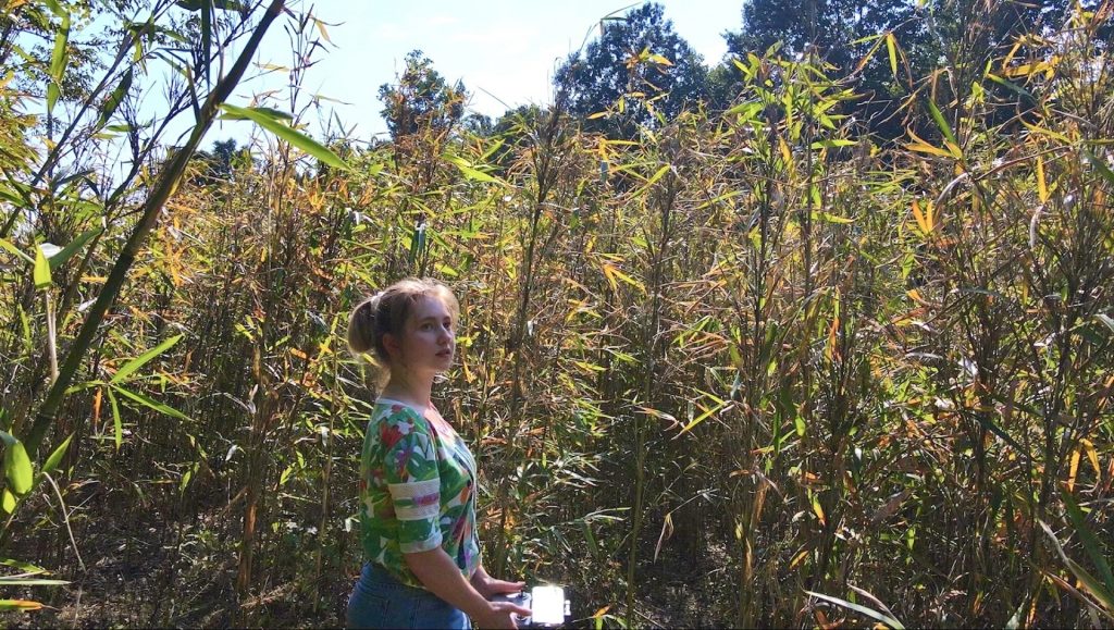 Woman standing in rivercane thicket