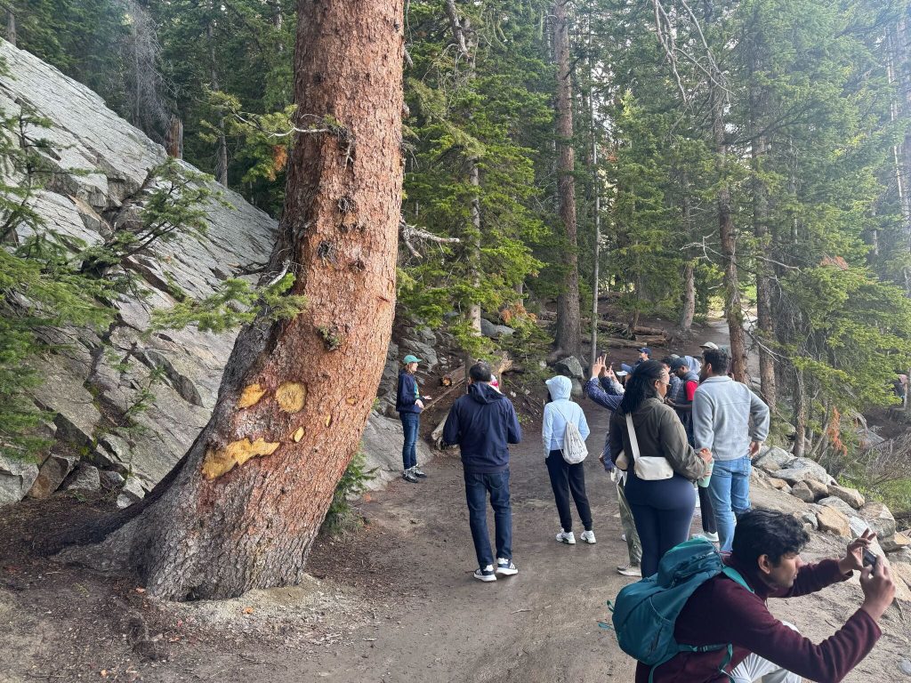 Photograph of a group of people hiking on a forest trail surrounded by tall trees and rocky terrain. Several individuals are taking photos or looking at the scenery, highlighting an outdoor recreational activity in a natural setting.
