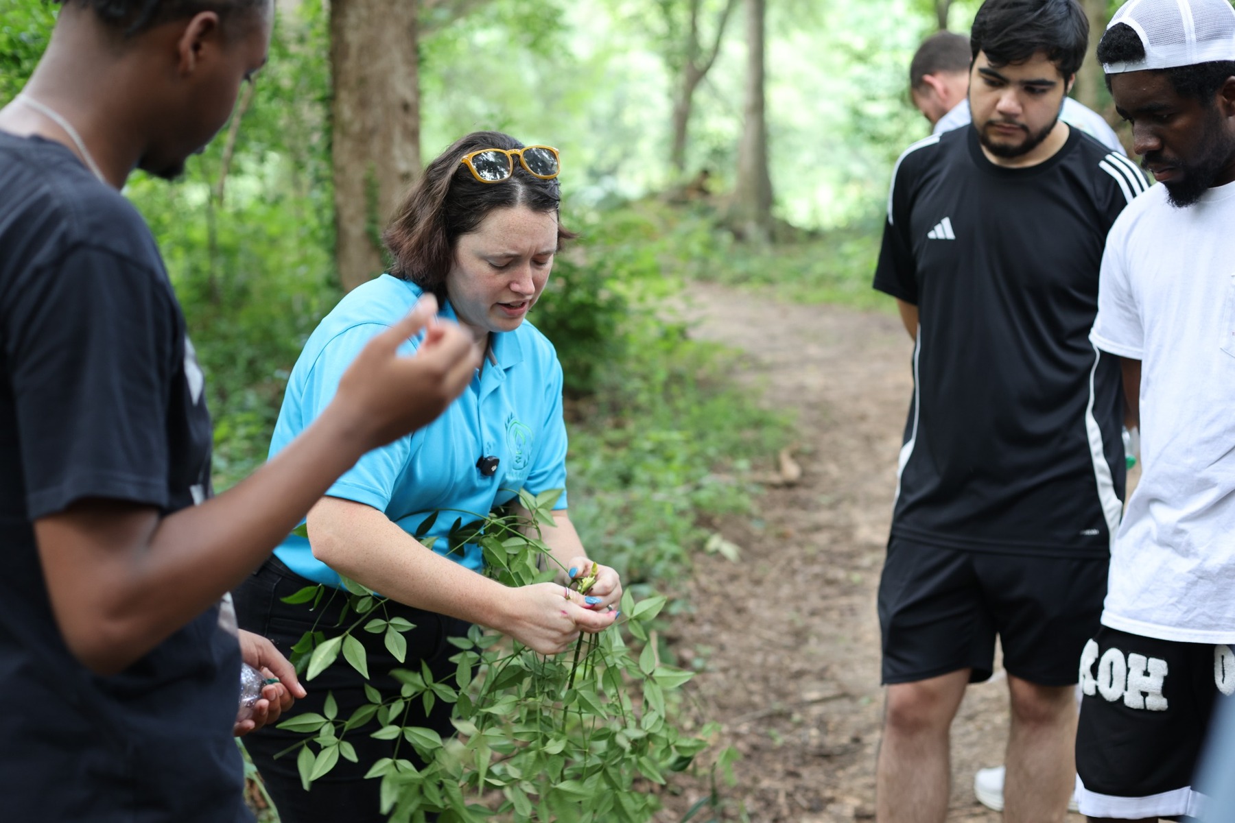 : An instructor in a blue shirt holds a plant specimen while explaining its features to a group of three REU students paying close attention to the demonstration. They are surrounded by other trees and plants in the Arboretum.