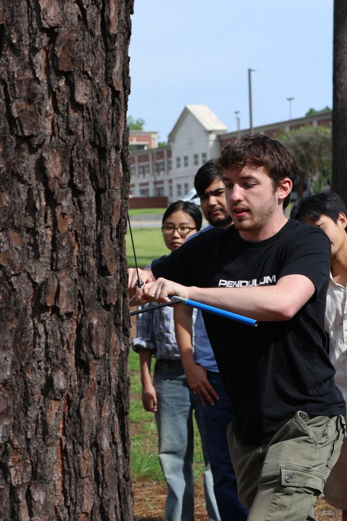 An REU student wearing a black shirt and olive cargo pants uses a metal core sampler to drill into the bark of a tree trunk. Behind him, two other students are watching the process closely on a sunny outdoor campus.