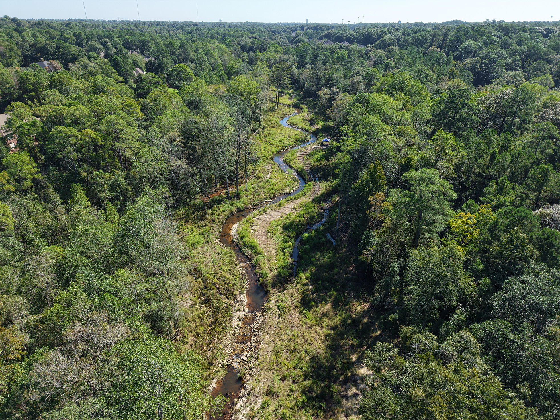 Rivercane Restoration Revives Coastal Alabama Watershed
